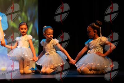 SHOW_02005.jpg